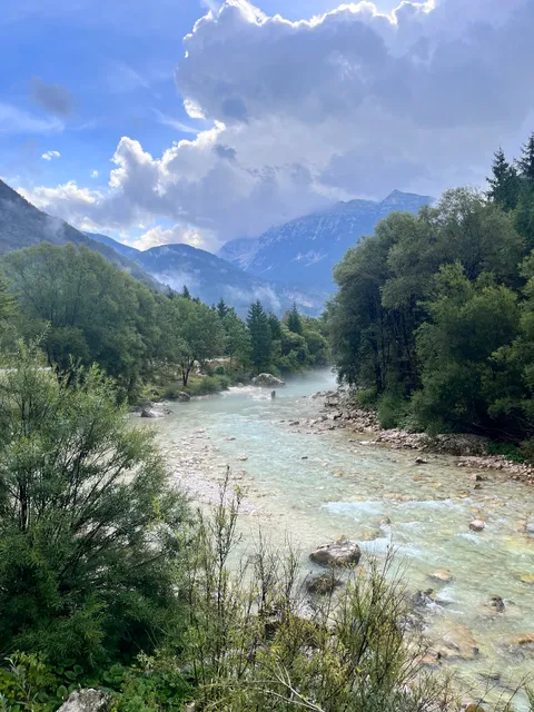 Cuder Mitja - Sobodajalec