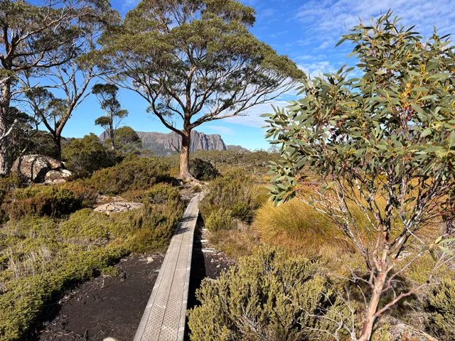 Tasmanian Walking Company