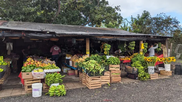 Maria Corona Produce Best Farmers Market