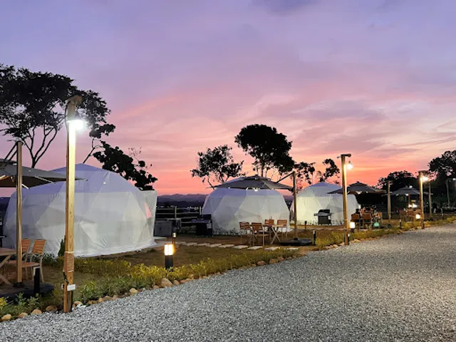 歸樸森活露營區