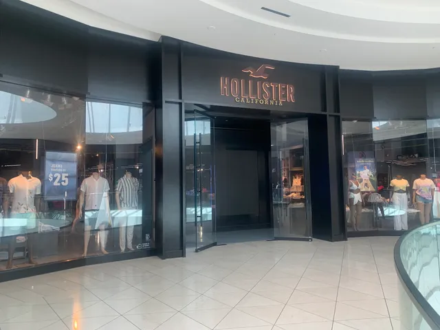 Hollister Co.