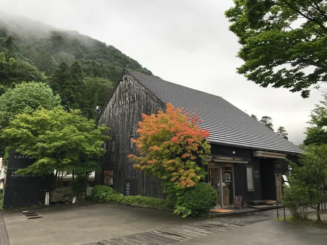 LA RUCHE Gallery & Shop