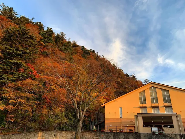 Hotel daisen shirogane