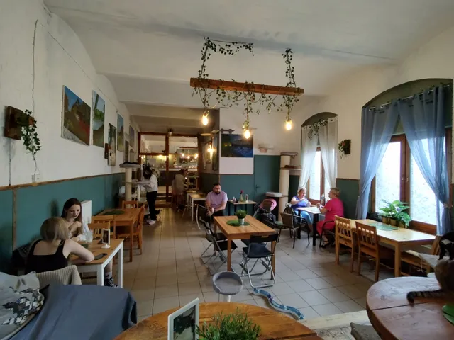 Kocia Kawiarnia Mruczkowo - Gliwice(7+)