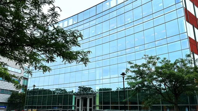 Rothman Orthopaedics