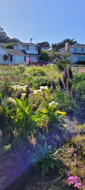 Monterey Elks Lodge #1285