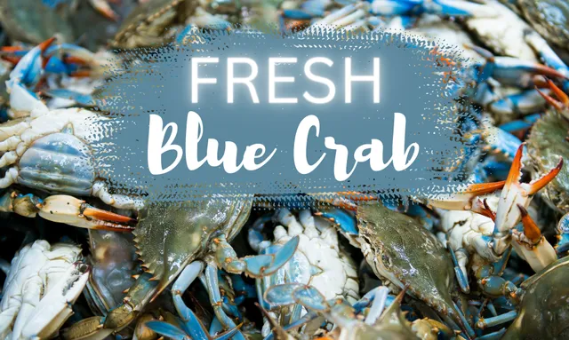 French Market Seafood and More