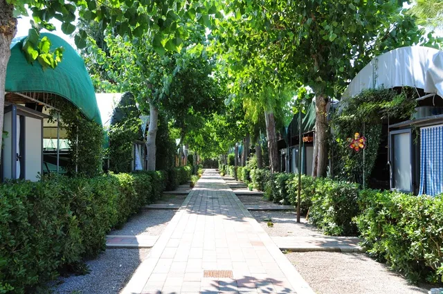 Camping Poseidon S.R.L.