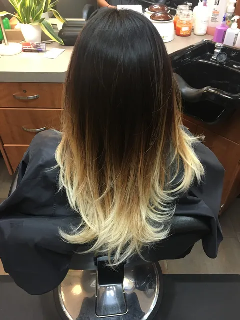 steven bierbaum an independent stylist