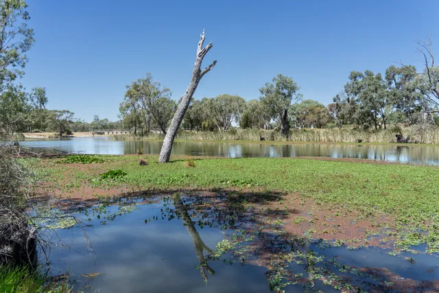 Gunbower Camping Reserve