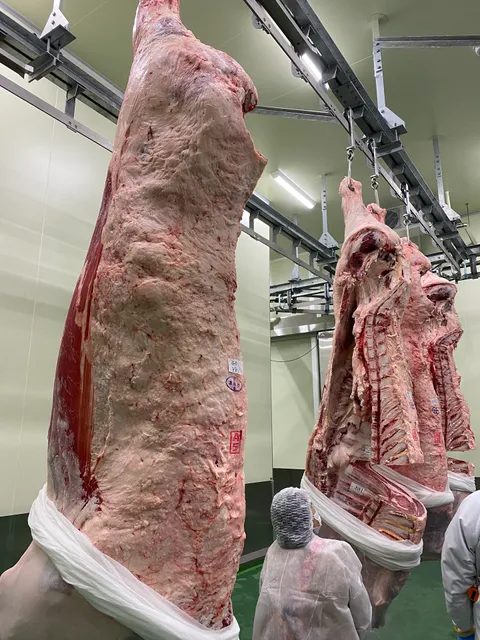 Kyoto City Wholesale Market - Marketplace No. 2