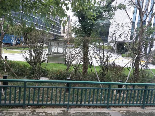 haiyatt hotel shanghai