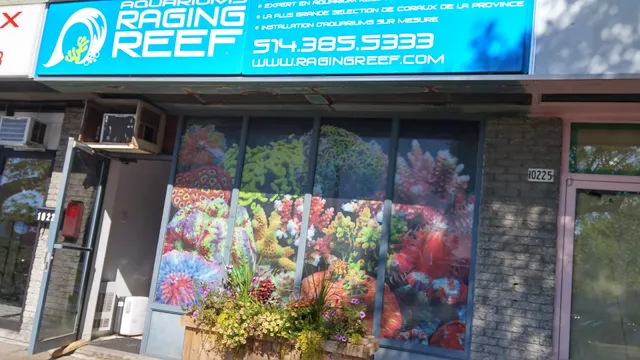 Aquarium Raging Reef - Montreal
