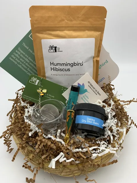 Debbs Hummingbird Healing