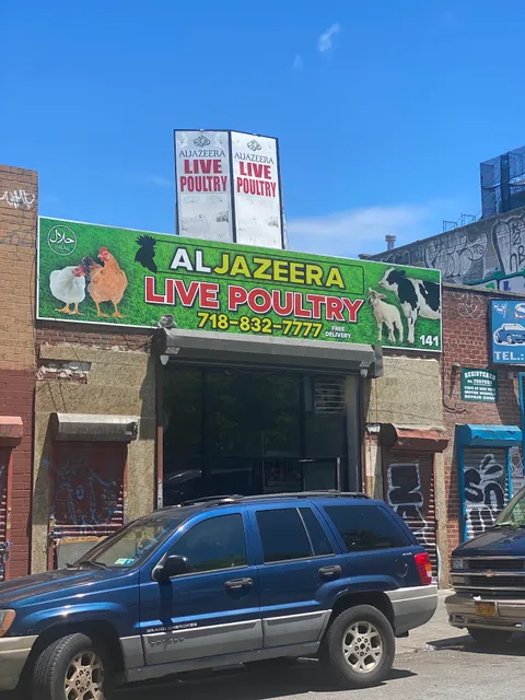 Aljazeera live poultry