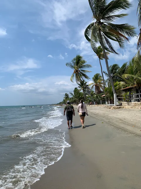 Playa el Frances, Tolu