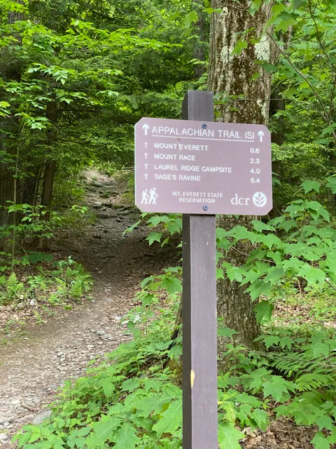 Guilder Pond Parking Area