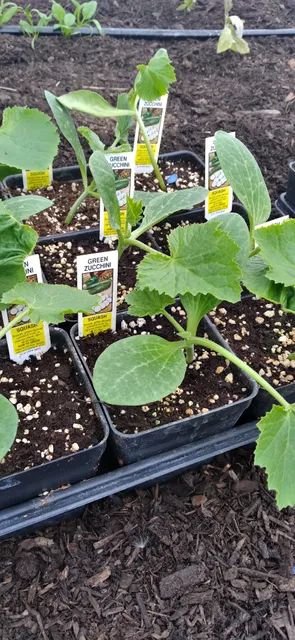 Roberts' Farm Market