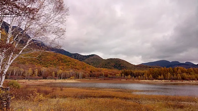 小田代原展望台
