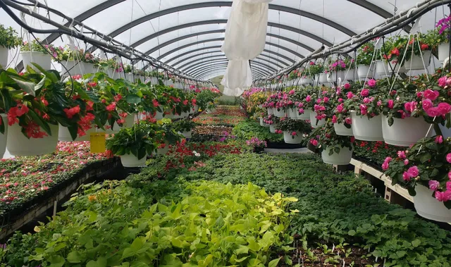 Westcroft Gardens & Farm