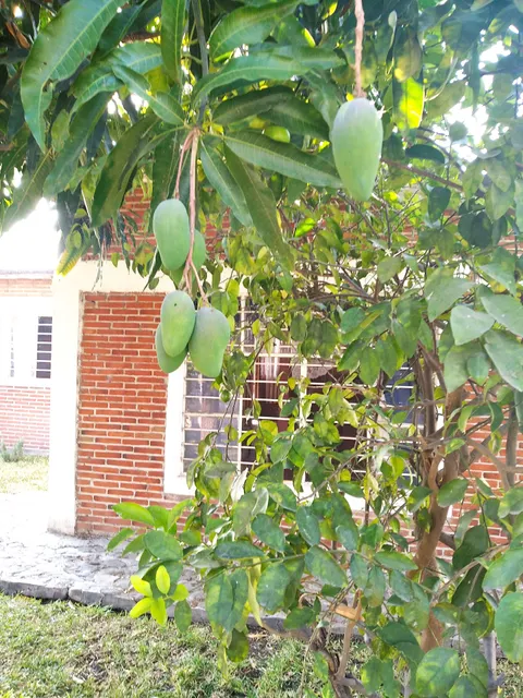 FRACCIONAMIENTO TLAHUICA CASA DE DESCANSO