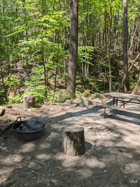 Townshend State Park