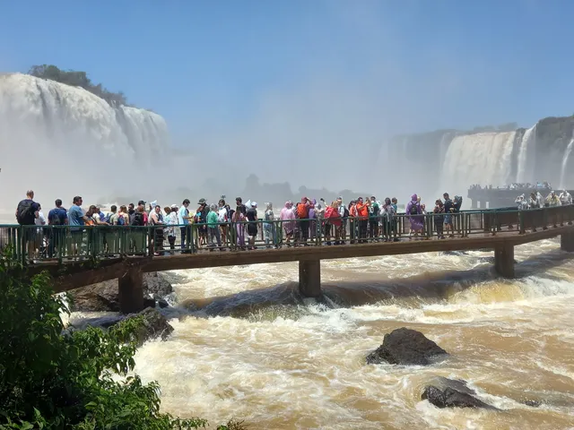 Falls Vision Receptivo