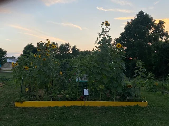 Unity Community Center