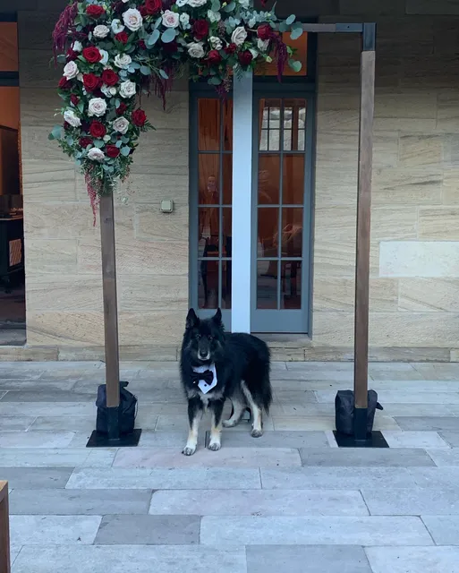 Sydney Floral Events