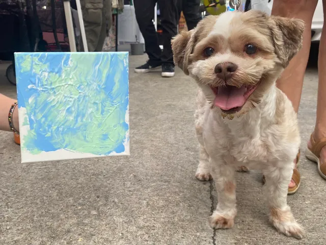 Dogtopia of South Lafayette