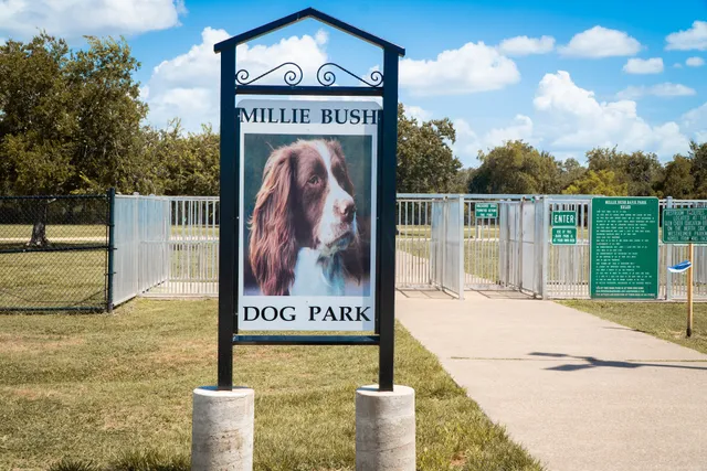 Millie Bush Dog Park