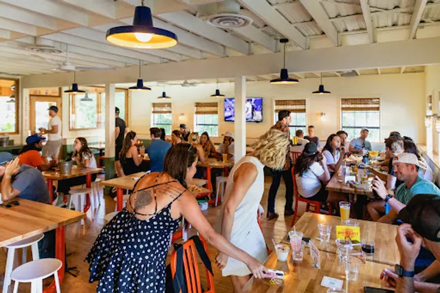 Lou's Barton Springs