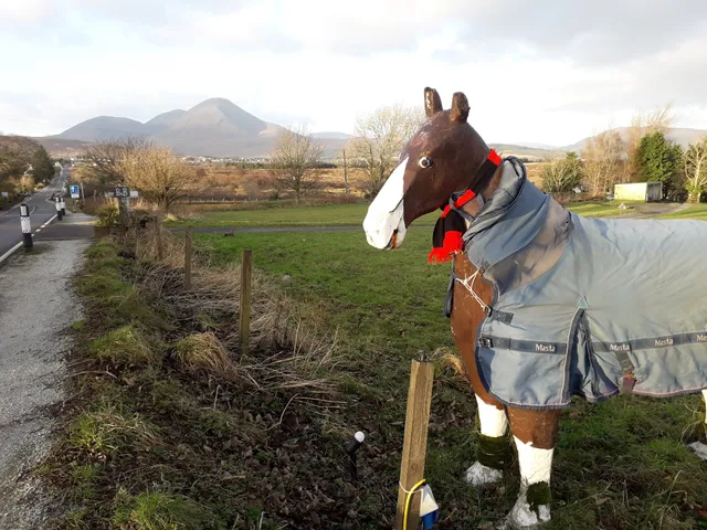 Breakish Horse Accommodation