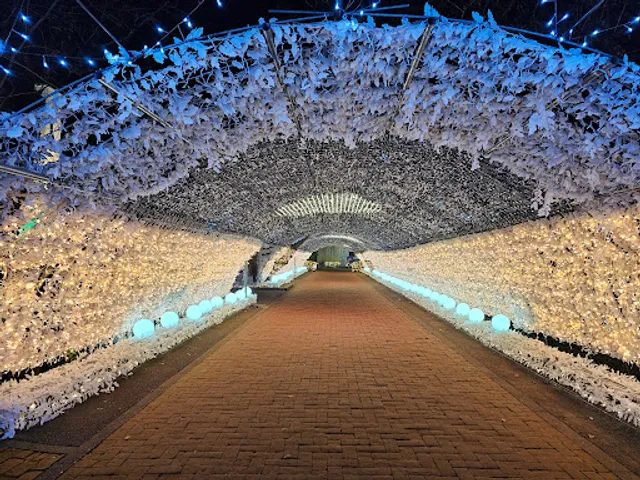 時之栖 OUTDOOR HILL VILLAGE キャンプサイト