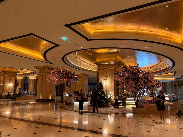 قصر الامارات