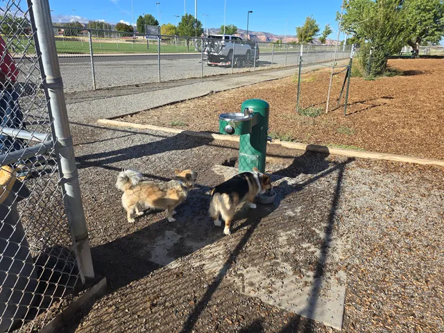 Dog Park at Willow Park