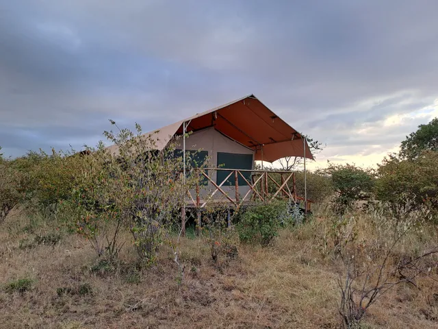 Tayari Luxury Tented Camp - Masai Mara