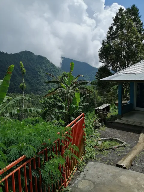 Hillside Guest House Bed And Breakfast