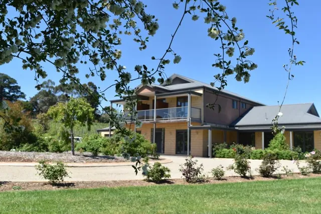 Gypsy Creek Vineyard