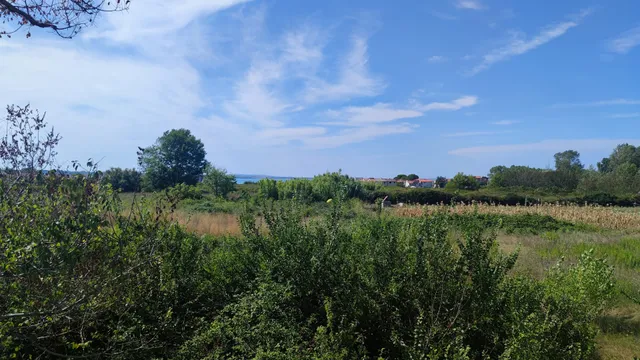 Apartmani Mersol Nin