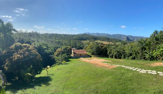 Restaurant-Bar Buena Vista