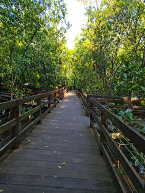 Pasir Ris Park Mangrove Boardwalk