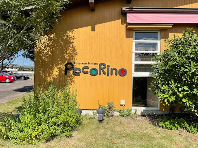 pecorino