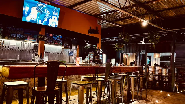 Playami by Border Psycho