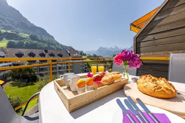 APART HOLIDAYS AG serviced apartements morschach