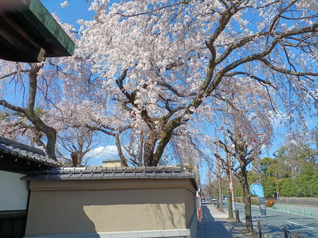Site of Arisugawa-no-miya Residence