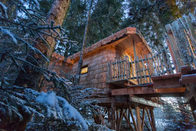 Domaine de l'Authentique Cabanes dans les arbres Chambres d'hôtes