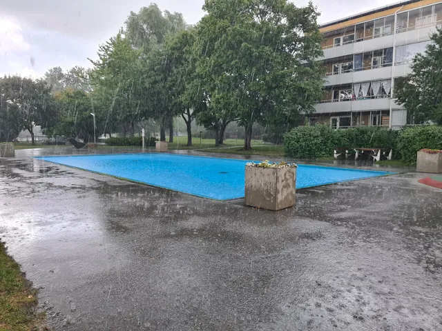 Bagartorps ringen plaskis