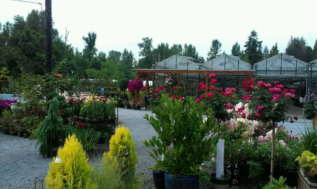 Alpine Nursery & Landscape