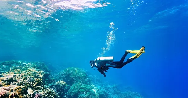 Hilo Ocean Adventures